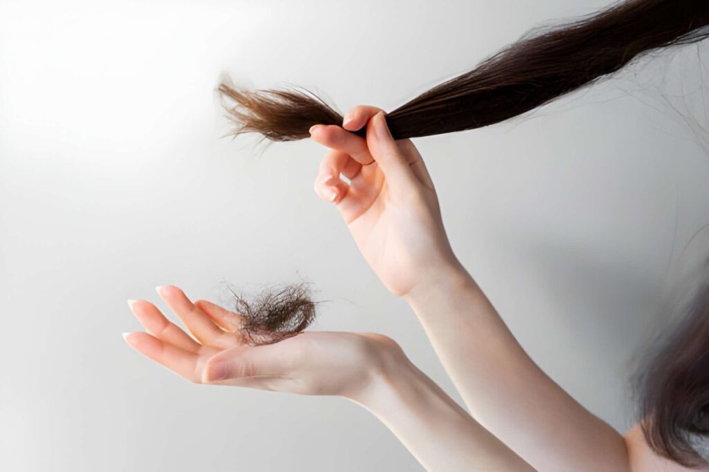 Hair Shedding vs Hair Loss
